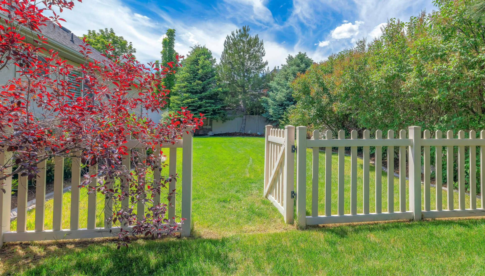 A functional fence gate providing access to a well-maintained backyard, surrounded by a wooden fence in Denver